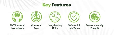 Radico Natural Herbal Permanent Shade Black Hair Colour - No Ammonia ...