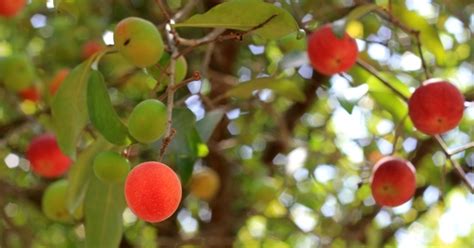 One Stop Solution for Career and Livelihod