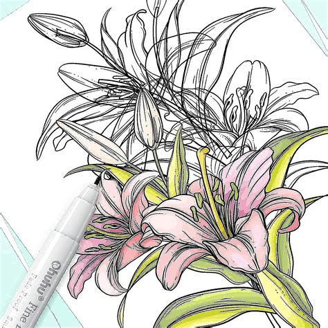 Ohuhu Markers, 48-color Double Tipped Alcohol Markers, Chisel & Fine ...