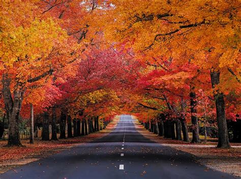 Things to do in Autumn Near Me Explore Nature, Festivals, Food, Crafts ...
