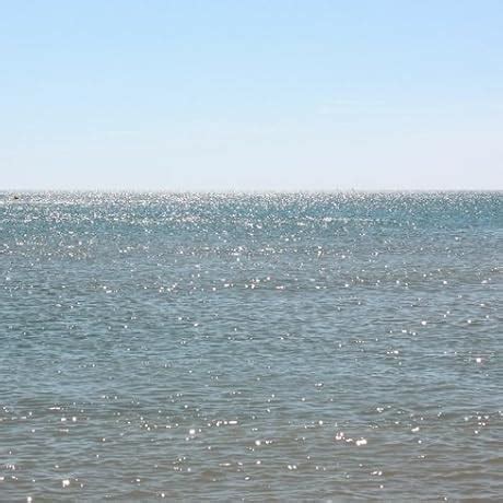 World War Z (Hindi): Amazon.in: Brad Pitt, Mireille Enos, Marc Foster ...