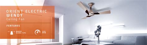 Orient Electric Wendy 1200mm Ceiling Fan with Remote (Azure Blue/Silver ...