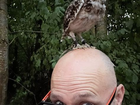WIDE EYES FALCONRY CIC - All You Need to Know BEFORE You Go (with ...