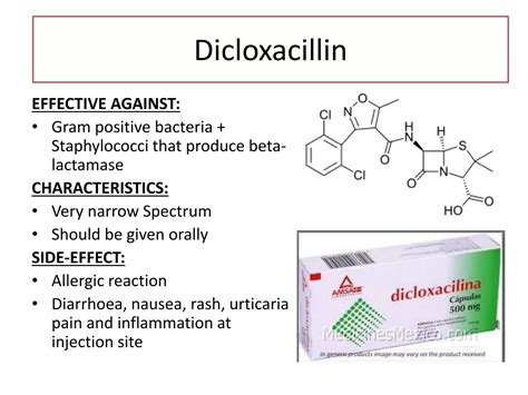 Beta Lactam Antibiotics | PPTX