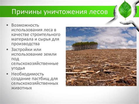 Уничтожение лесов - презентация онлайн