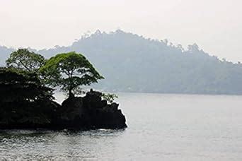 The Victoria Chronicles: Stories from old Victoria eBook : OJI, Godwin ...