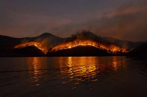 Image result for Forest Fire Project