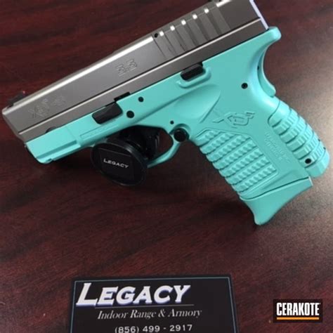 Image result for Springfield XDS Blue