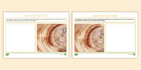 Image result for Tree Drawing Worksheet