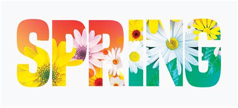 This Spring 的图像结果