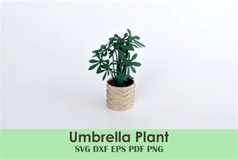 Image result for Envelope Box Template