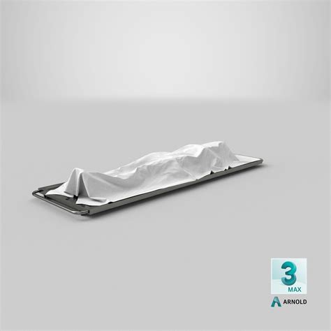 Dead Body Of Woman Covered with White Sheet 3D Model $49 - .usdz .3ds ...