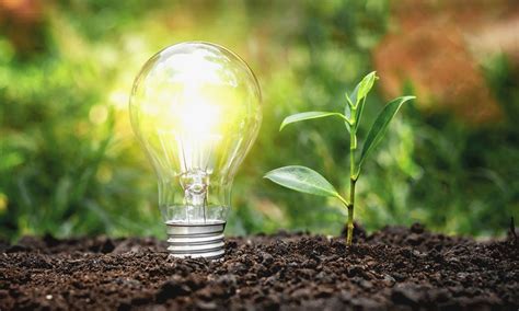 Bioenergy Picture Example 的图像结果