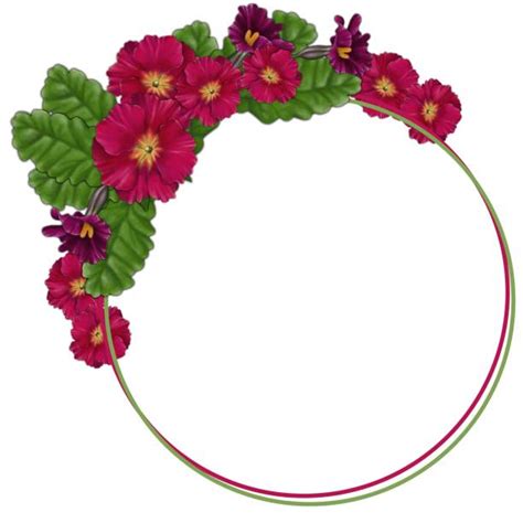 Primrose Clip Art Illustrations, Royalty-Free Vector Graphics & Clip ...