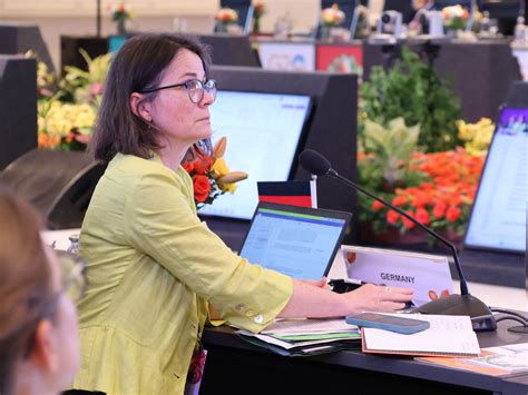 4th Energy Transitions Working Group Meeting, Goa