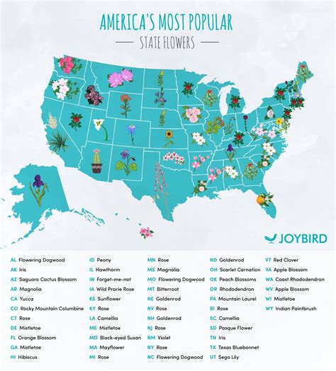 Most Popular State Flowers in Each US Map for Wedding Planning