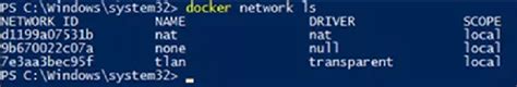 Image result for Container Networking