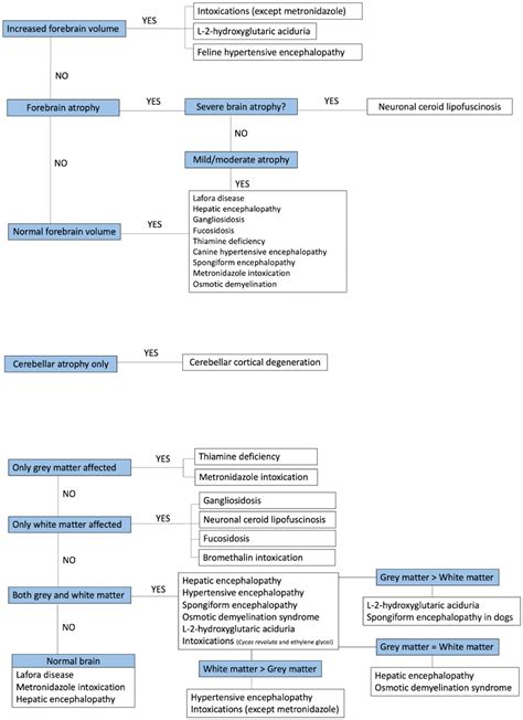 Frontiers | Magnetic resonance imaging pattern recognition of metabolic ...