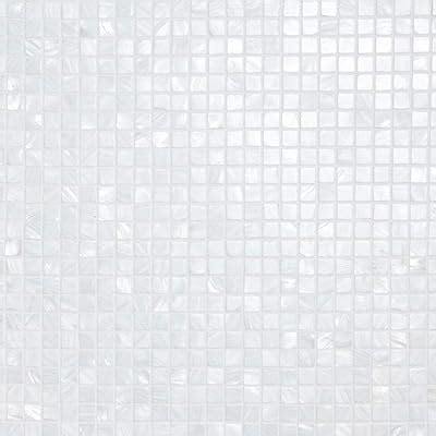 Diflart Oyster Mother of Pearl Shell Mosaic Tile, 10 India | Ubuy
