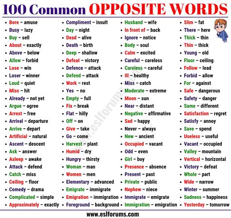 English Opposite Words For Class 3 - Free Math Worksheet Printable