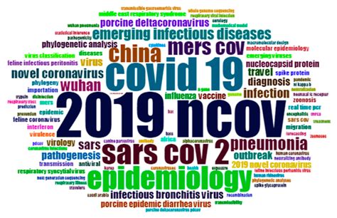 Identifying Research Trends and Gaps in the Context of COVID-19