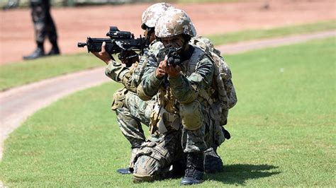 Republic Day Parade: गणतंत्र दिवस परेड में पहली बार दिखेगा Garud ...
