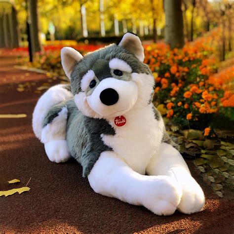 二哈送什么礼物好最新素材