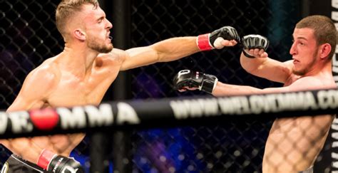 MMA Beginner's Guide 的图像结果