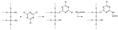 Inorganic Materials as Supports for Covalent Enzyme Immobilization ...