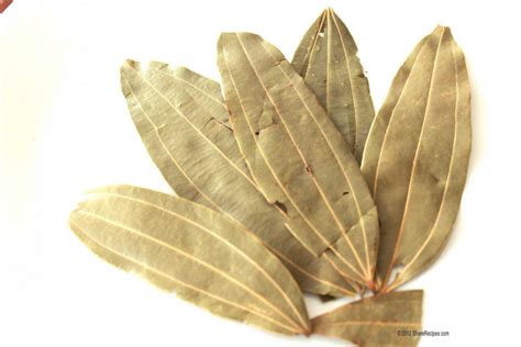 Glossary - ShareRecipes in TamilShareRecipes in Tamil