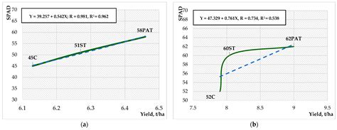 Crop Technology, Cultivation System, and Maize Production Characteristics