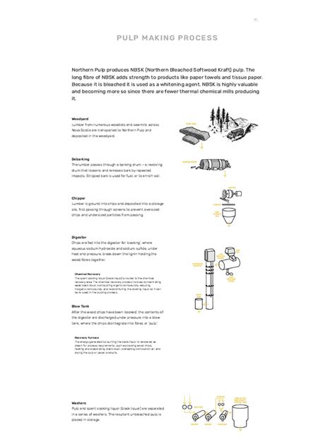 Image result for Pulp and Paper Mill Process