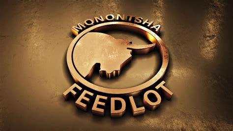 Monontsha Feedlot - Logo Design - Solid Projects