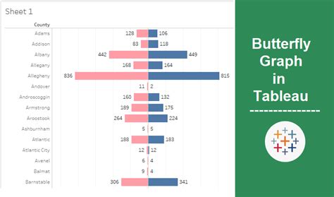 Image result for Butterfly Graph Design