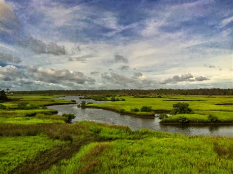 Creative Florida Living: Spruce Creek Park - An Oasis at Your Fingertips