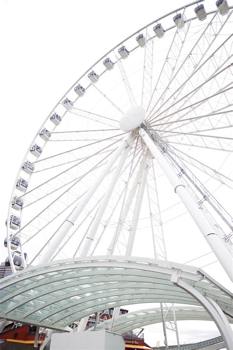 Seattle Travel Guide 的图像结果