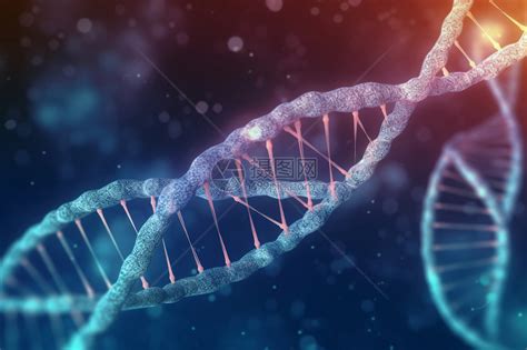 基因图片 的图像结果