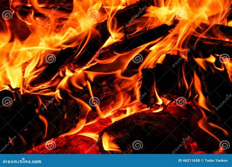 Image result for Fire Log Show