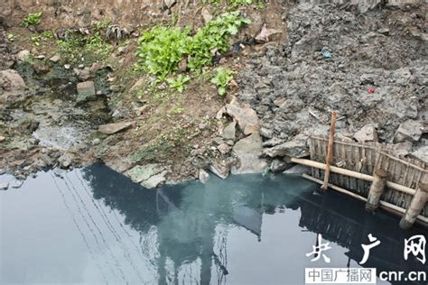 温州黑臭河水排入瓯江 环保部门回应：自净能力强_央广网