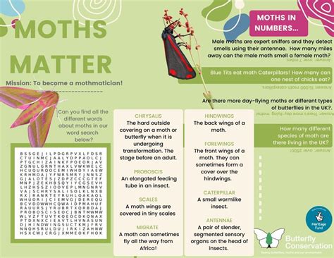 RH&DR Butterfly Conservation Trail, Romney, Hythe and Dymchurch Railway ...