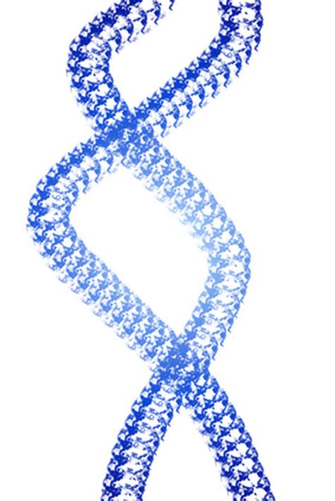 Image result for Restriction Enzymes Function
