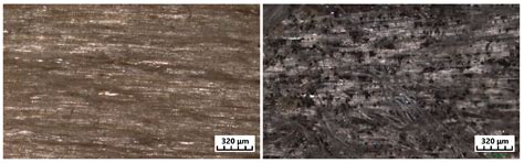 Surface Changes of Selected Hardwoods Due to Weather Conditions