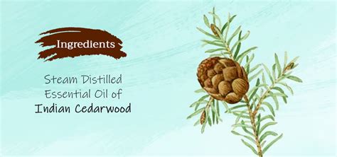 Tattvalogy Cedarwood Essential Oil: 100% Pure | Relax, Aromatherapy ...