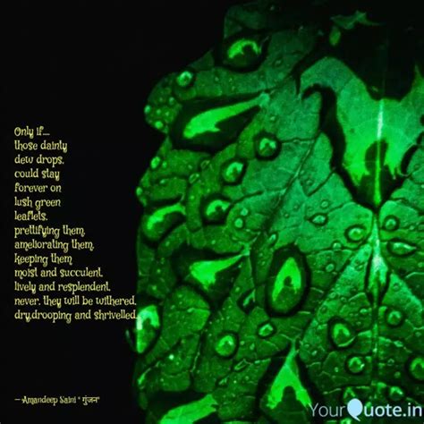 Only if.... those dainty ... | Quotes & Writings by Kaur | YourQuote