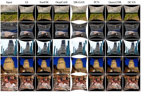 DCAN: Dynamic Channel Attention Network for Multi-Scale Distortion ...