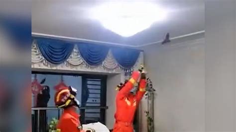 国产片：消防员救火没人在家，只能撬门灭火，不料却被房主要索赔_腾讯视频
