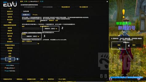 Config ElvUI 的图像结果