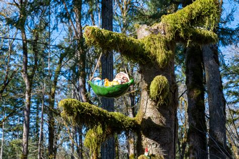 Exploring the New Gnome Trail in Maple Valley - Travelffeine