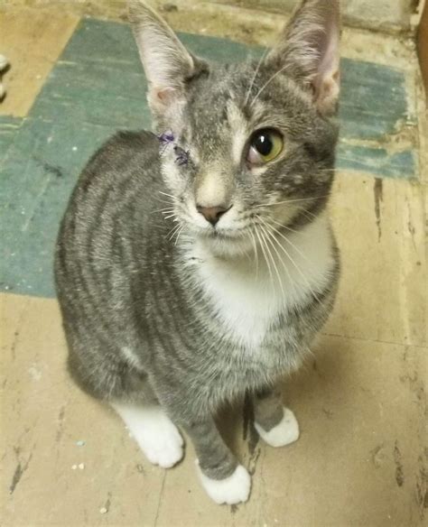 Everyday Heroes - Campaign