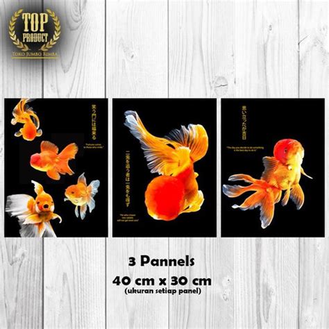 Jual Poster Ikan Mas Koki 40x30cm (3 Pannels) Hiasan Tembok Dinding ...